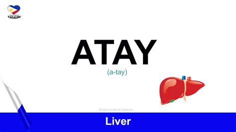 Internal in Tagalog.